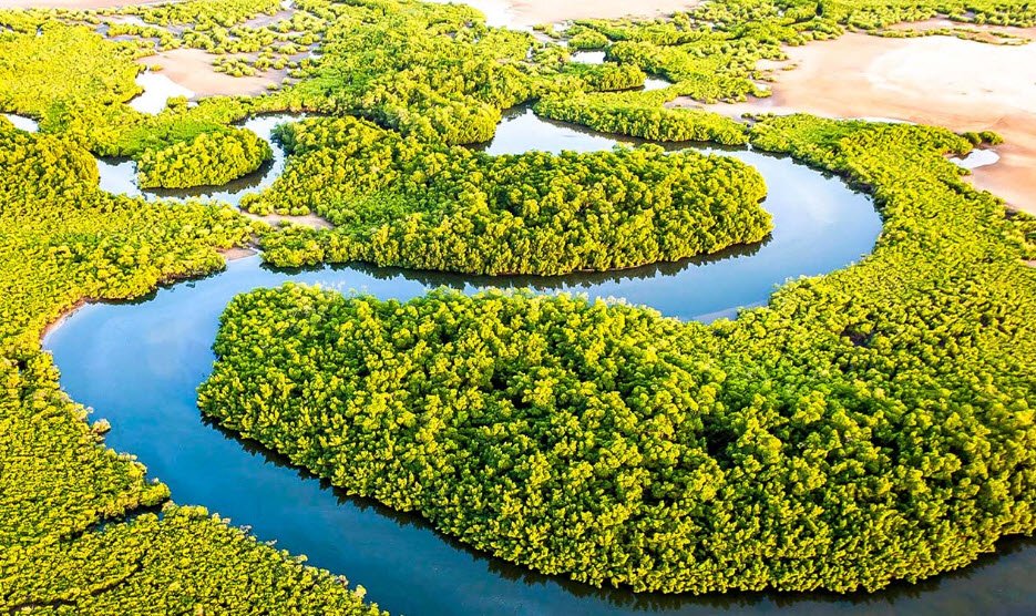 Saloum Delta National Park, Fatick & Kaolack Regions, Senegal